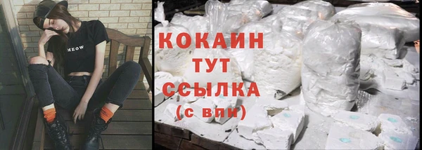 спиды Алзамай