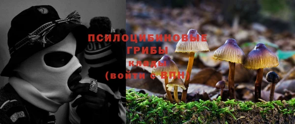 дживик Алексин