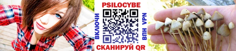 Псилоцибиновые грибы мухоморы  где купить наркотик  Дыгулыбгей 